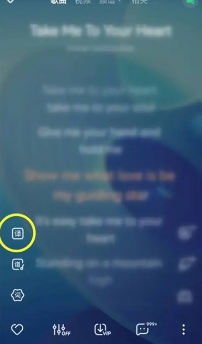 酷狗音乐怎么开启歌词翻译[图片3]